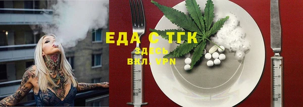 spice Богородицк