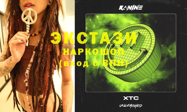spice Богородицк