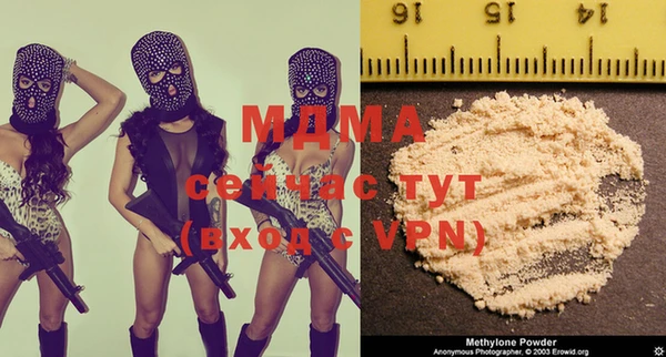 spice Богородицк