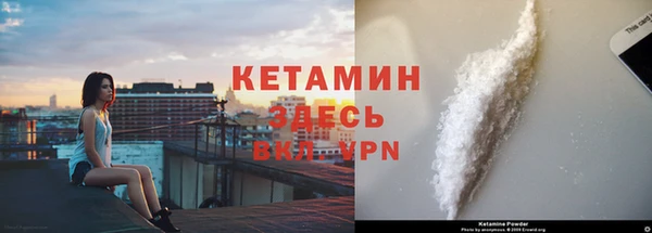 spice Богородицк