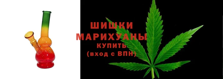 гидра Богородск