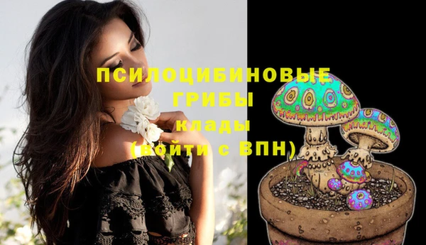 spice Богородицк