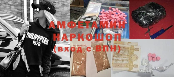 spice Богородицк