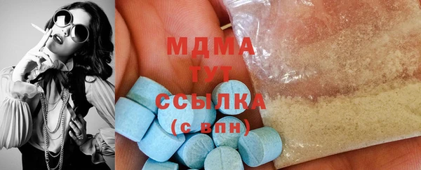 гидра Богородск