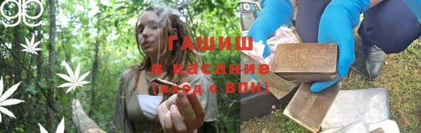 spice Богородицк