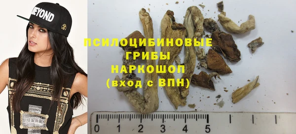 гидра Богородск