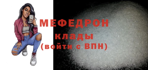 spice Богородицк